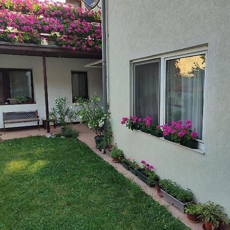 Apartman Mitic โปชาเรวัซ ภายนอก รูปภาพ